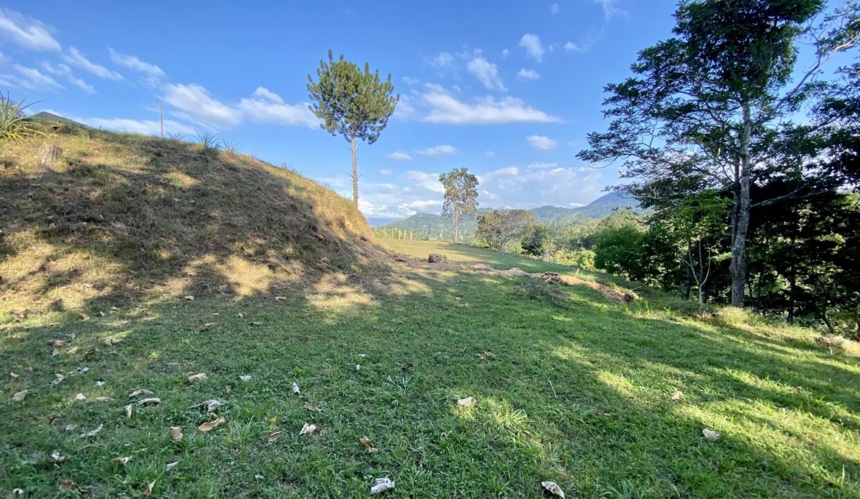 IMG_6022